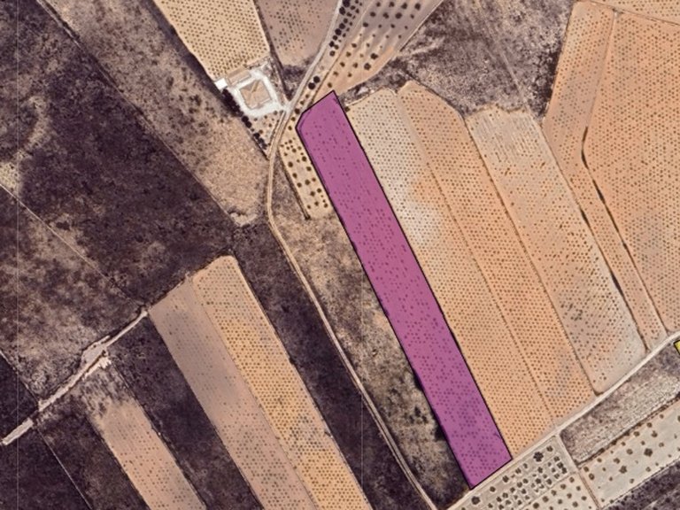 Plot for Sale in La Solana, Alicante 3