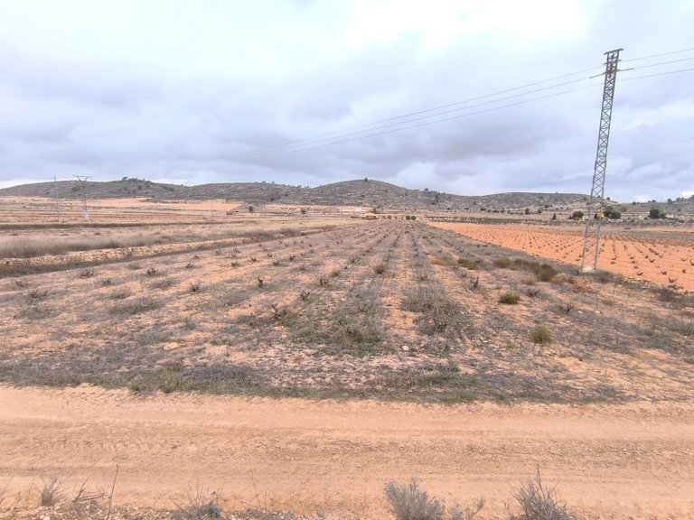 Plot for Sale in La Solana, Alicante 2