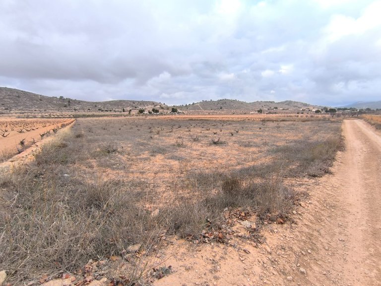 Plot for Sale in La Solana, Alicante 2