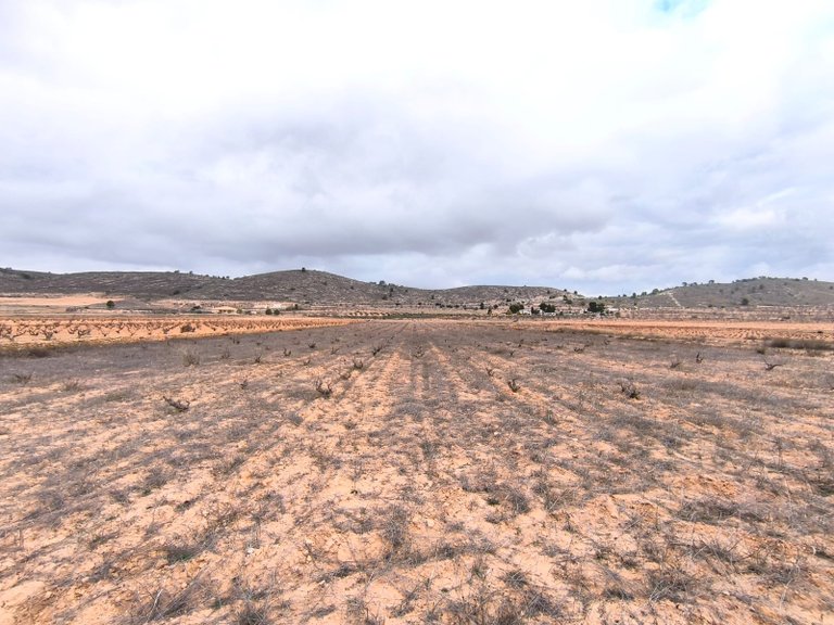 Plot for Sale in La Solana, Alicante 1