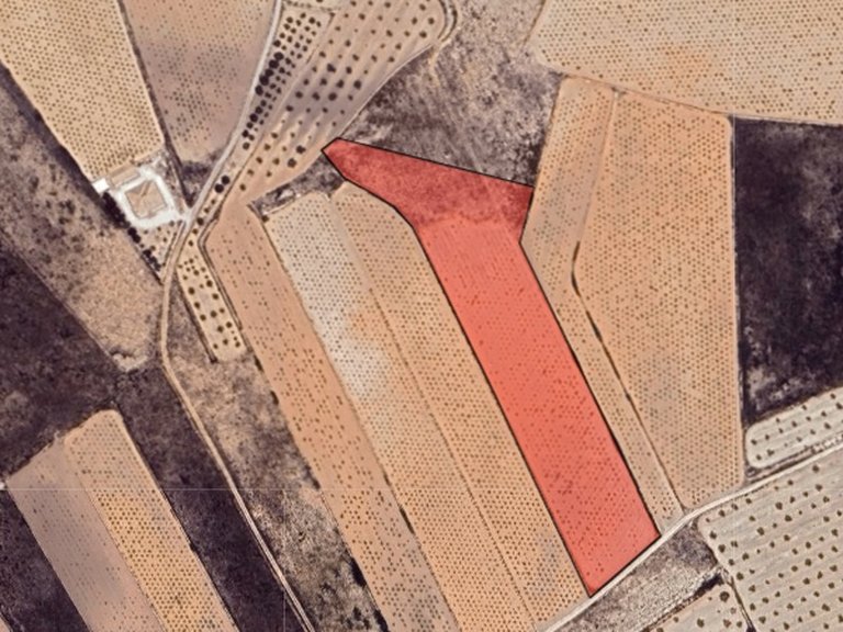 Plot for Sale in La Solana, Alicante 4
