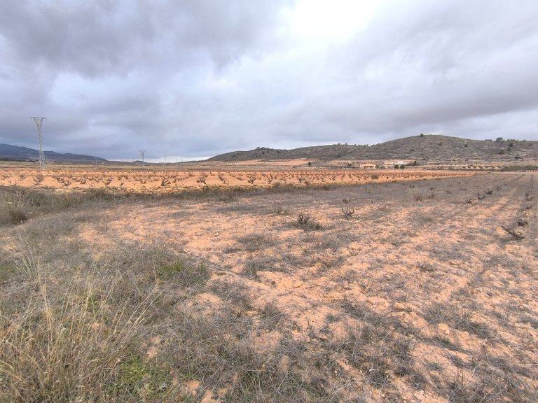 Plot for Sale in La Solana, Alicante 3