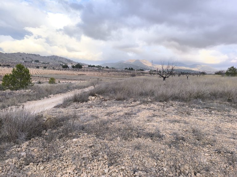 Plot for Sale in La Solana, Alicante 3