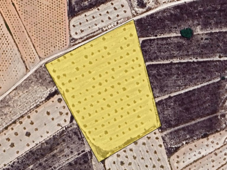 Plot for Sale in La Solana, Alicante 5