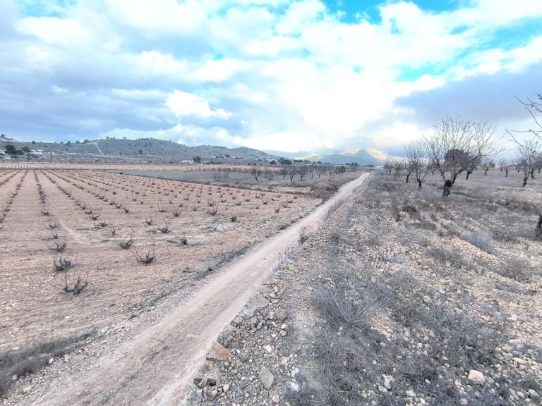 Plot for Sale in La Solana, Alicante 1