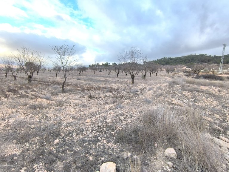 Plot for Sale in La Solana, Alicante 2
