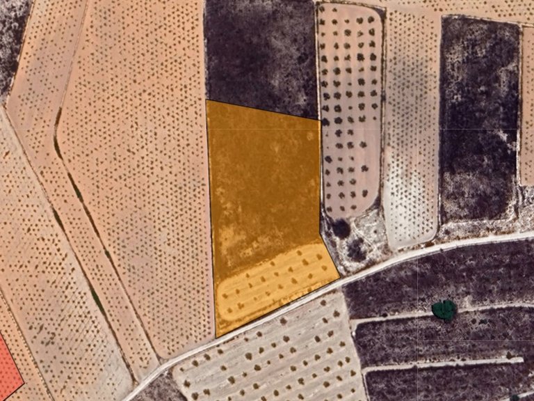 Plot for Sale in La Solana, Alicante 3