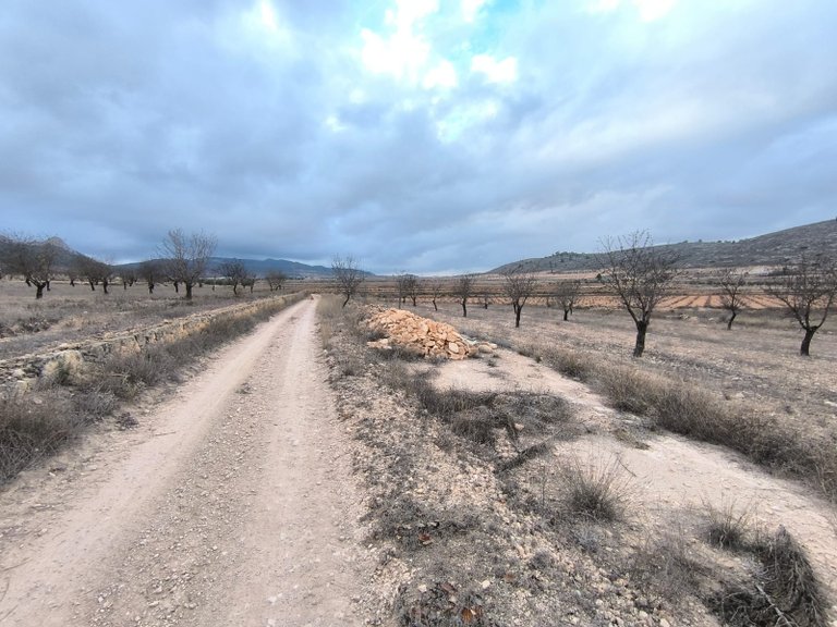 Plot for Sale in La Solana, Alicante 1