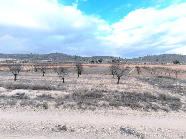 Plot for Sale in La Solana, Alicante 2