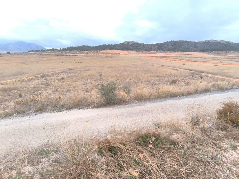 Plot for Sale in La Solana, Alicante 2
