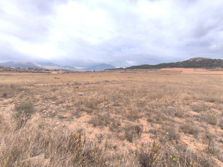 Plot for Sale in La Solana, Alicante 3