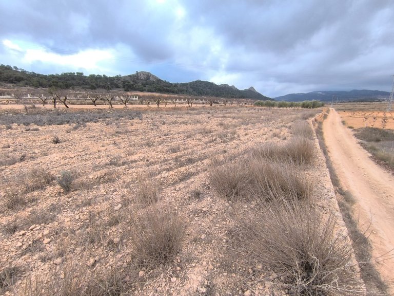 Plot for Sale in La Solana, Alicante 1