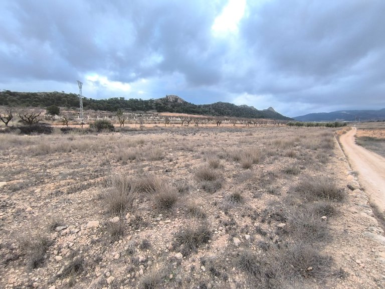 Plot for Sale in La Solana, Alicante 3