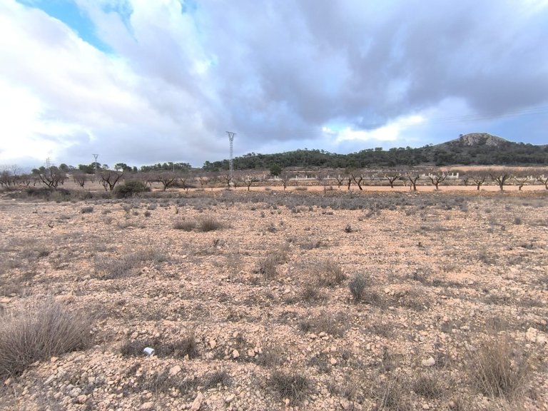 Plot for Sale in La Solana, Alicante 2