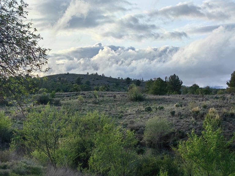 Country House for Sale in Lorca, Murcia 22