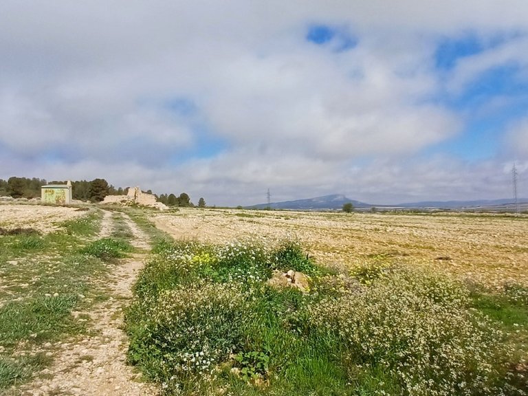 Plot for Sale in Yecla, Murcia 6