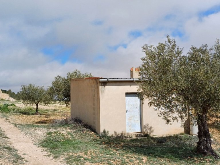Plot for Sale in Yecla, Murcia 3