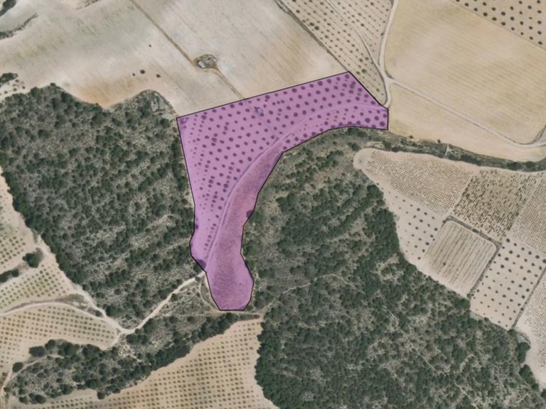 Plot for Sale in Yecla, Murcia 7