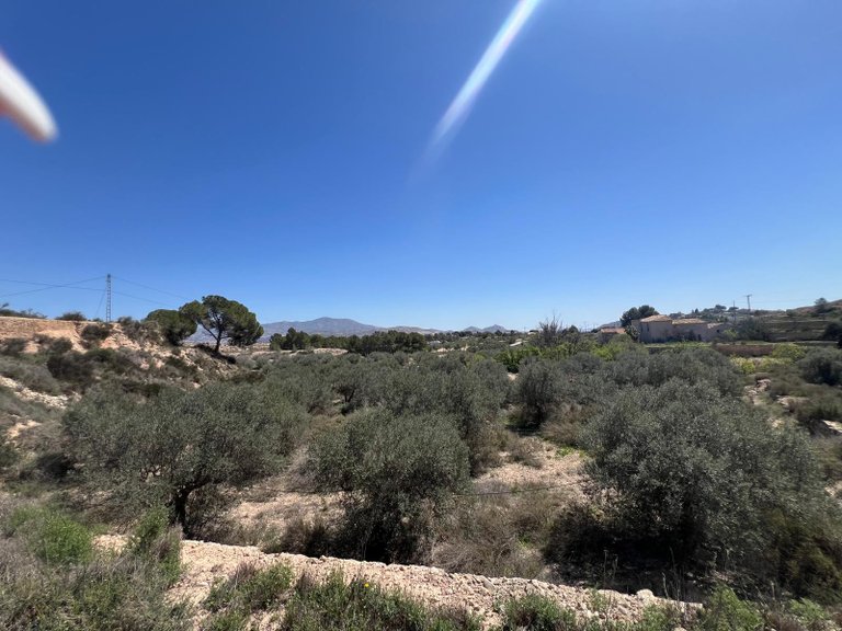 Plot for Sale in Monovar, Alicante 1