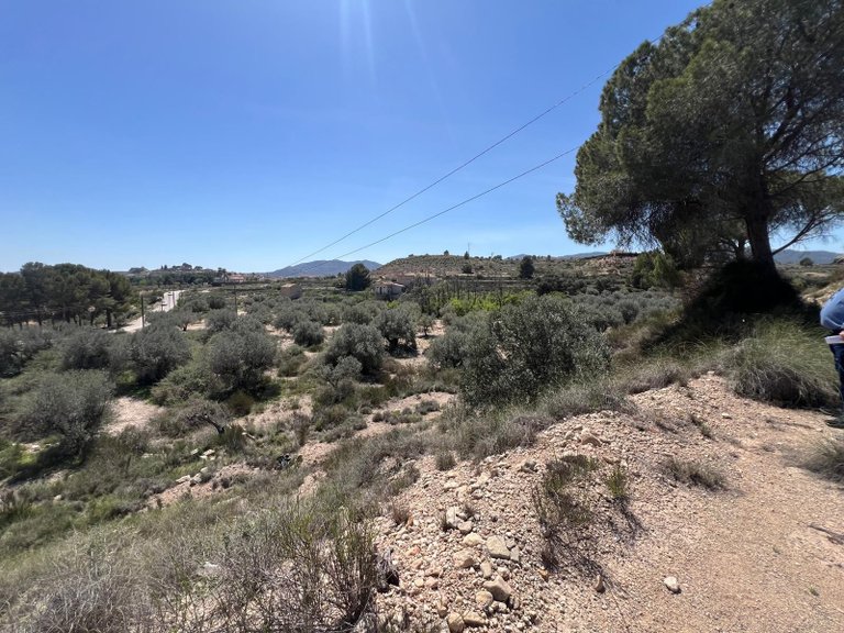 Plot for Sale in Monovar, Alicante 2