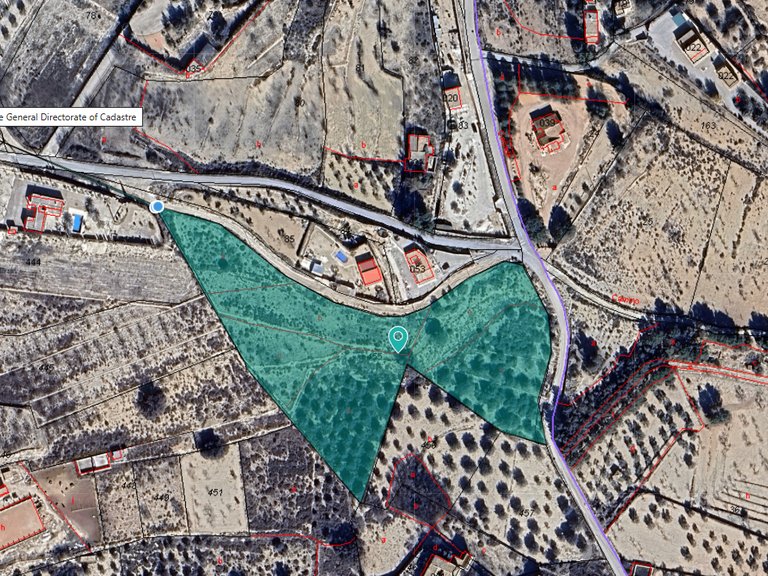 Plot for Sale in Monovar, Alicante 3
