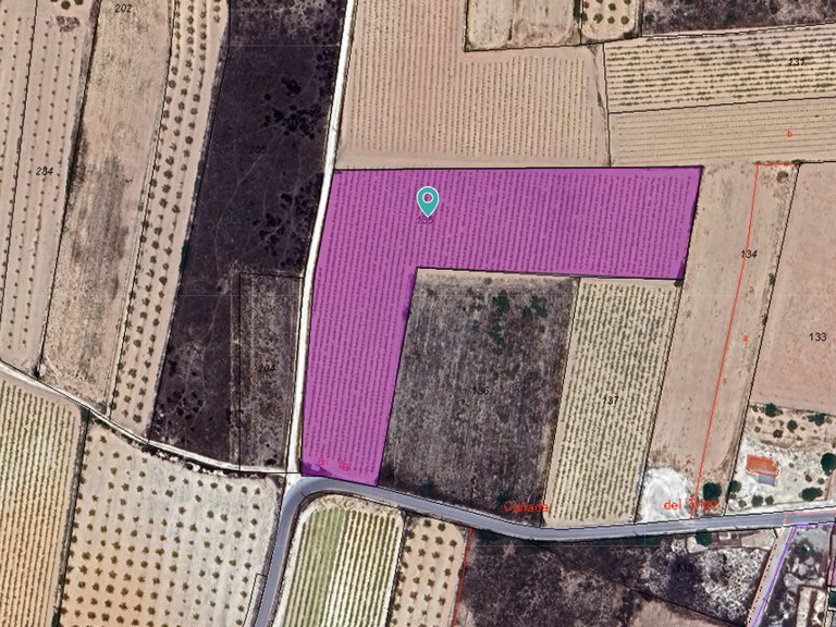 Plot for Sale in Pinoso, Alicante 1