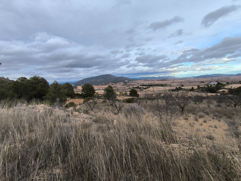 Plot for Sale in Raspay, Murcia 10