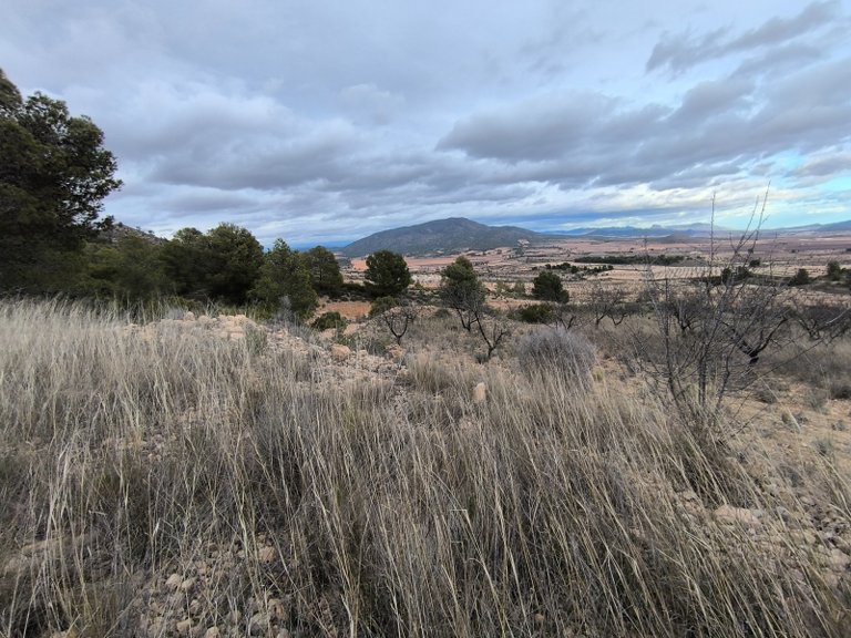 Plot for Sale in Raspay, Murcia 9