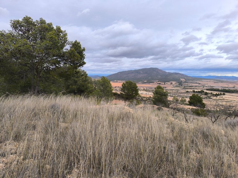 Plot for Sale in Raspay, Murcia 14