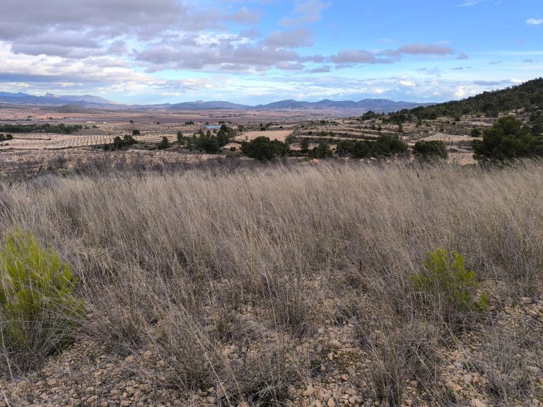 Plot for Sale in Raspay, Murcia 6