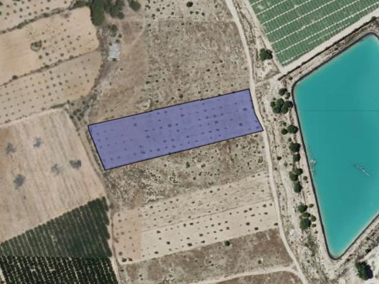 Plot for Sale in Monovar, Alicante 5