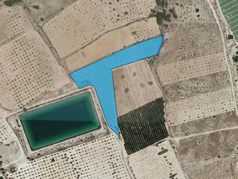 Plot for Sale in Monovar, Alicante 5