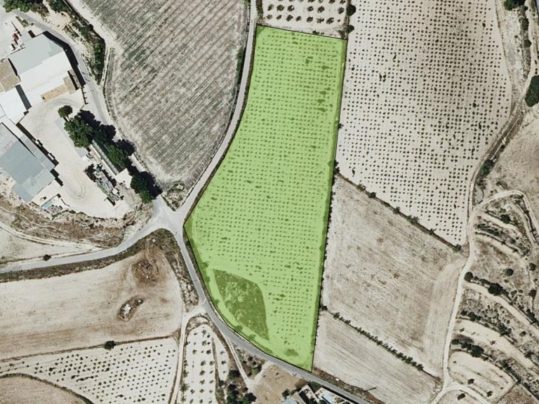 Plot for Sale in Monovar, Alicante 5