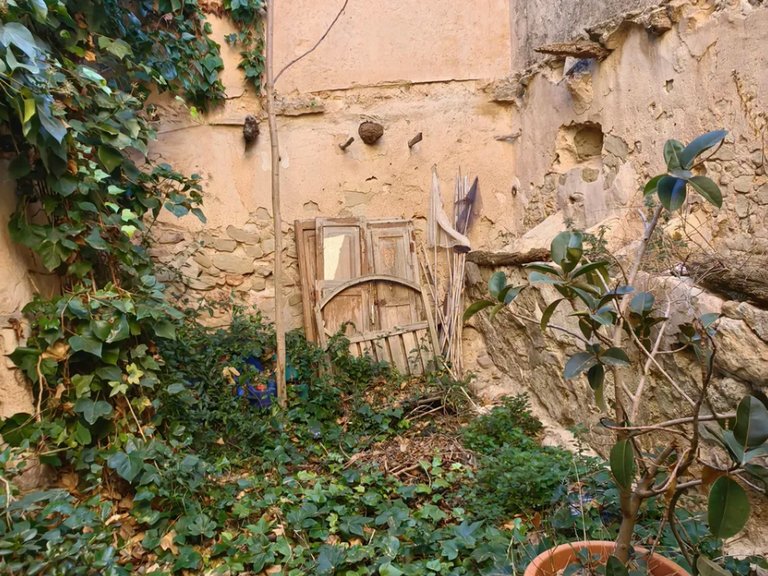 Country House for Sale in Monovar, Alicante 24