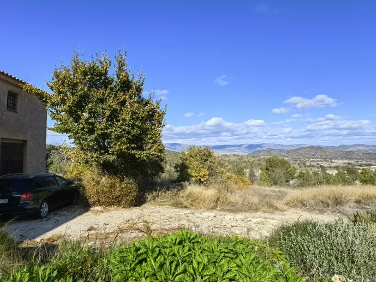 Country House for Sale in Monovar, Alicante 3