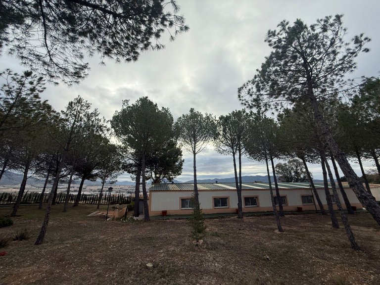 Villa for Sale in Salinas, Alicante 27