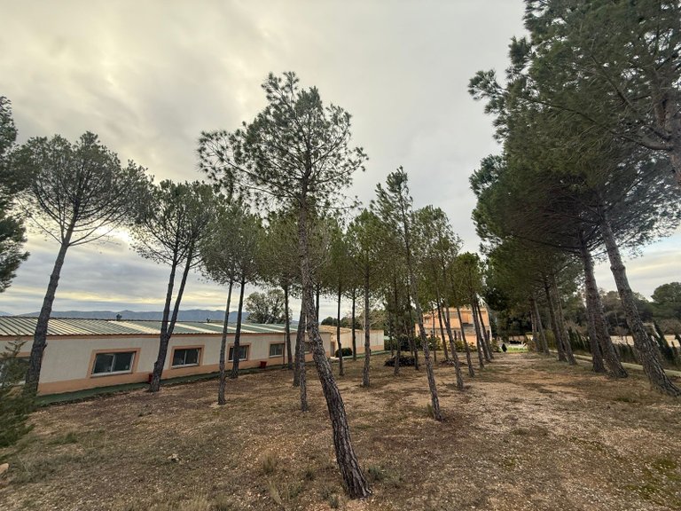 Villa for Sale in Salinas, Alicante 34