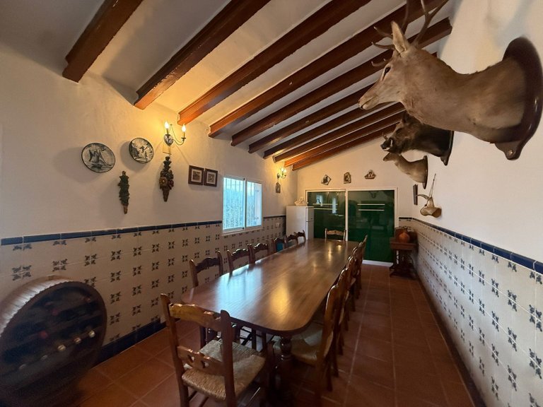 Villa for Sale in Salinas, Alicante 9