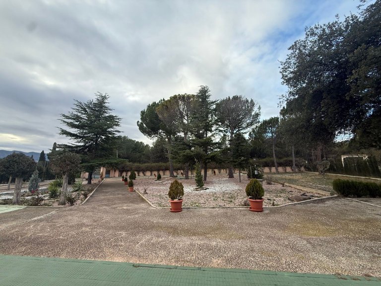 Villa for Sale in Salinas, Alicante 23