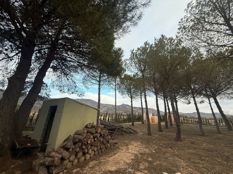 Villa for Sale in Salinas, Alicante 29