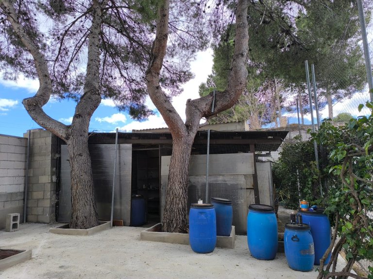 Villa for Sale in Sax, Alicante 34