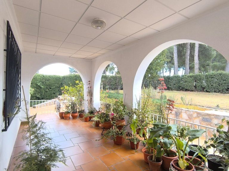 Villa for Sale in Sax, Alicante 25