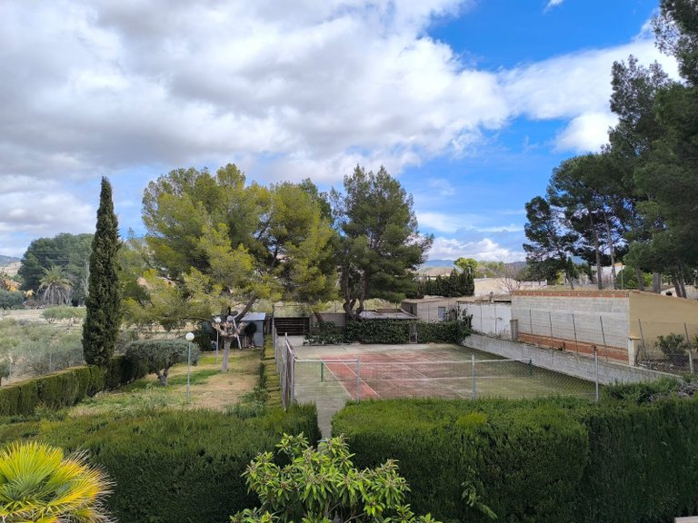 Villa for Sale in Sax, Alicante 47