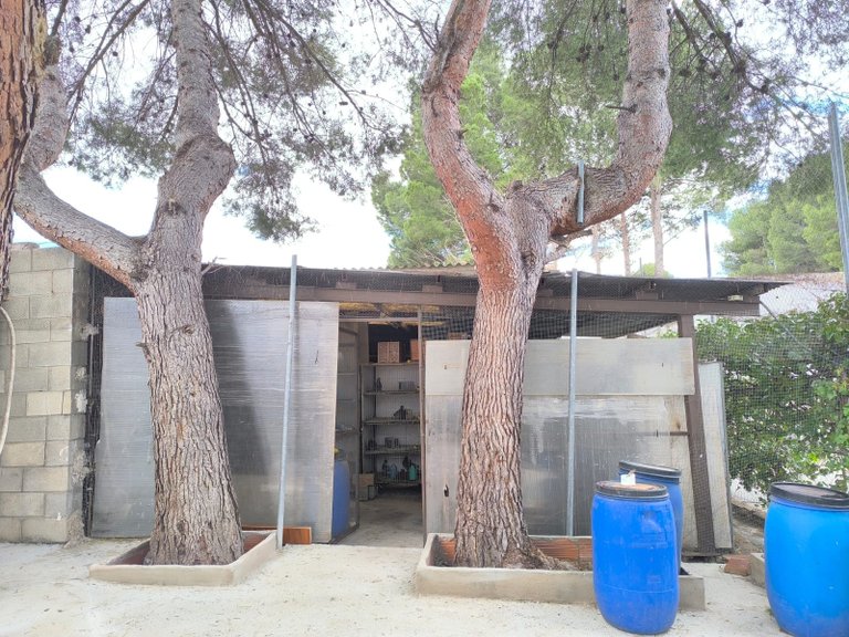 Villa for Sale in Sax, Alicante 33