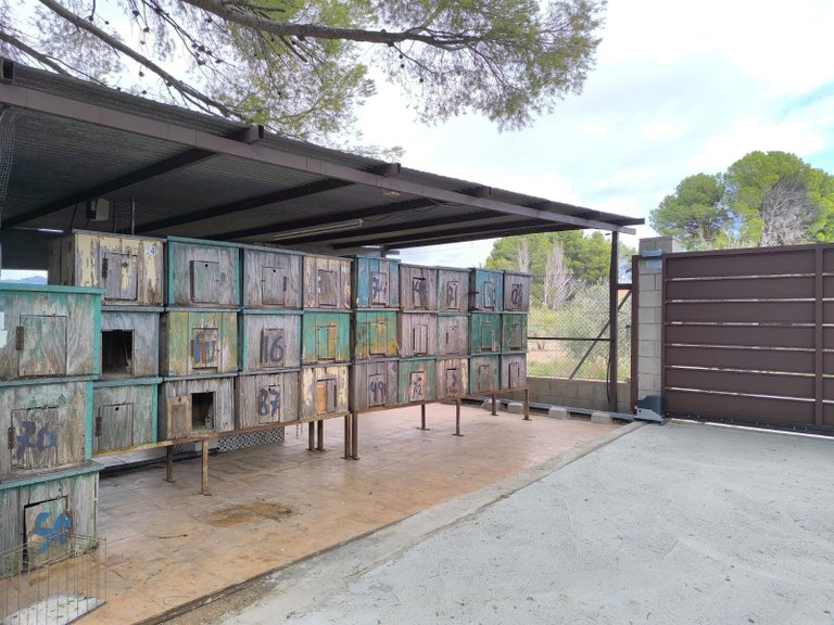 Villa for Sale in Sax, Alicante 32