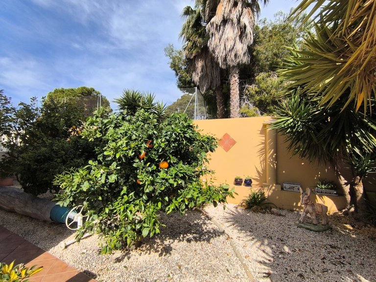 Villa for Sale in El Raso, Alicante 34