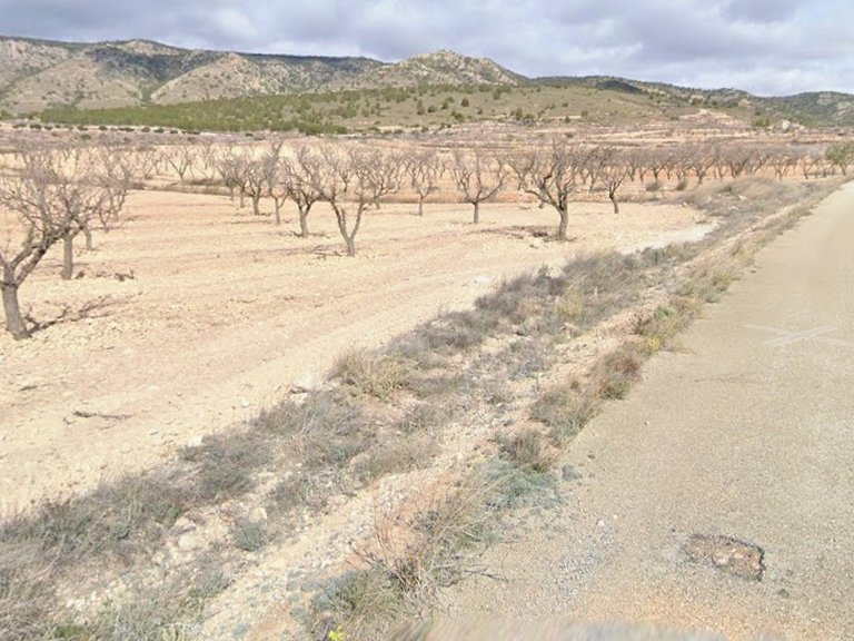 Plot for Sale in Jumilla, Murcia 5