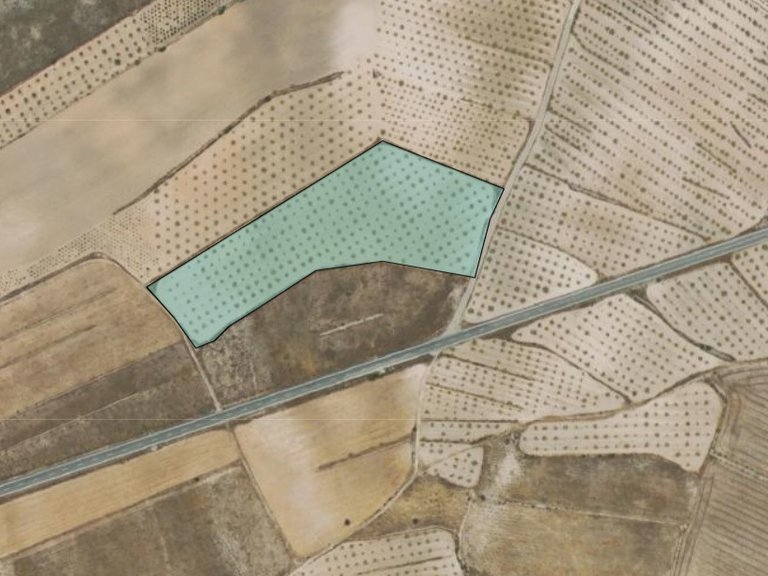 Plot for Sale in Jumilla, Murcia 4