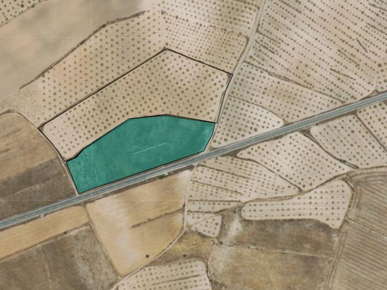 Plot for Sale in Jumilla, Murcia 2