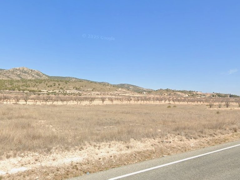 Plot for Sale in Jumilla, Murcia 1